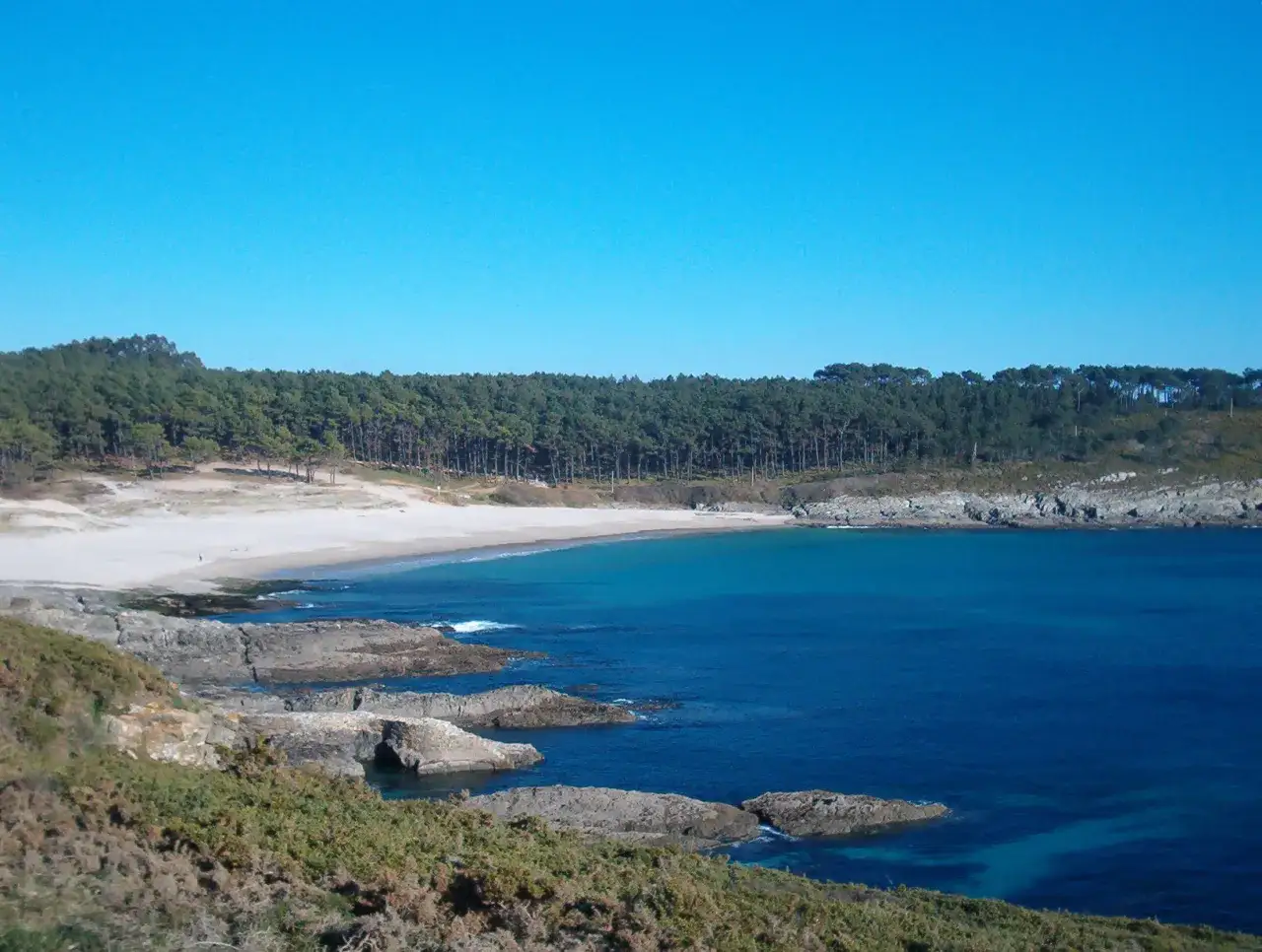 La **playa Milide** se extiende bajo un cielo azul, bordeada por un bosque de pinos y rocas.