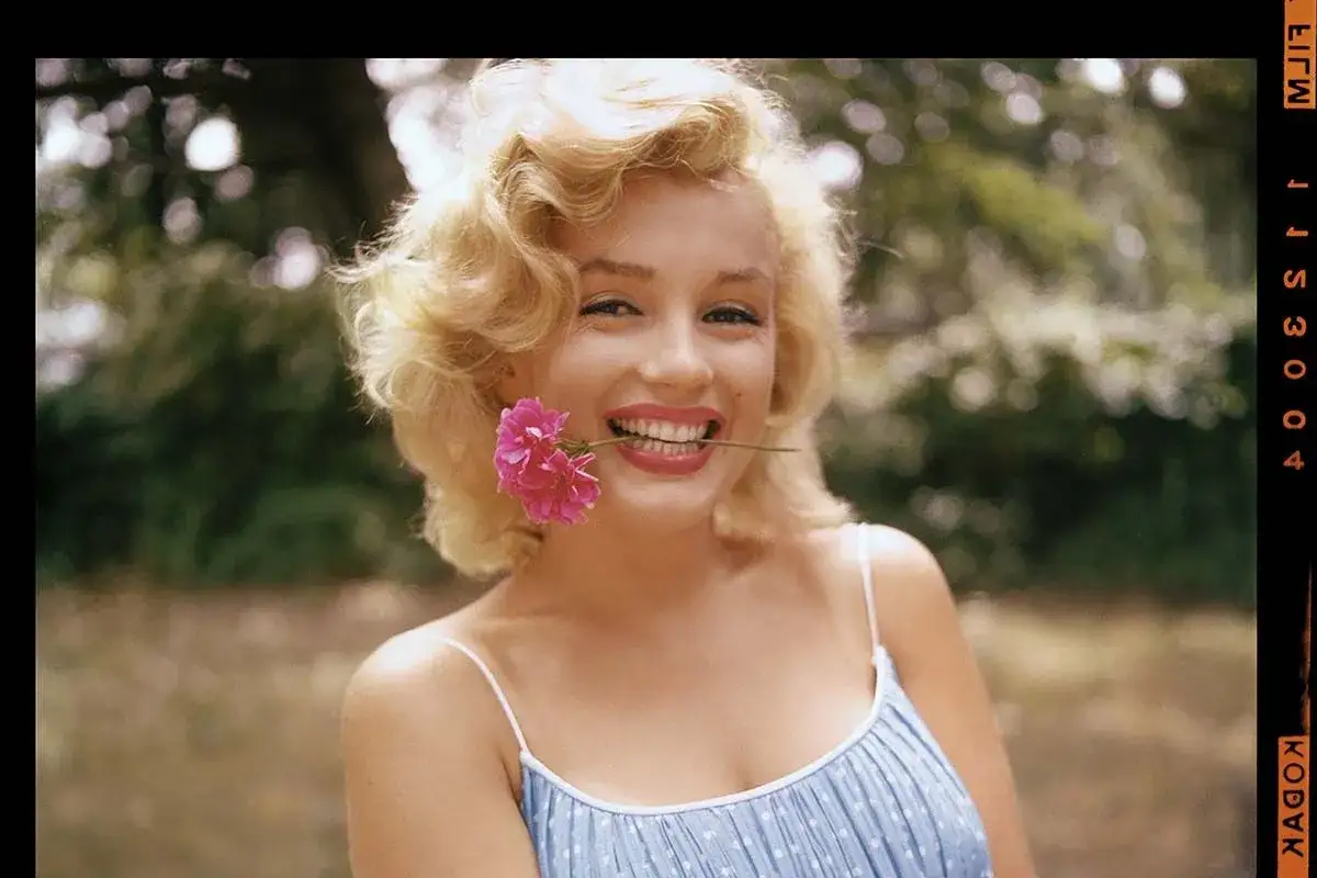 Marilyn Monroe, immortalata da un fotografo, sorride con un fiore rosa tra i denti, un'icona intramontabile.