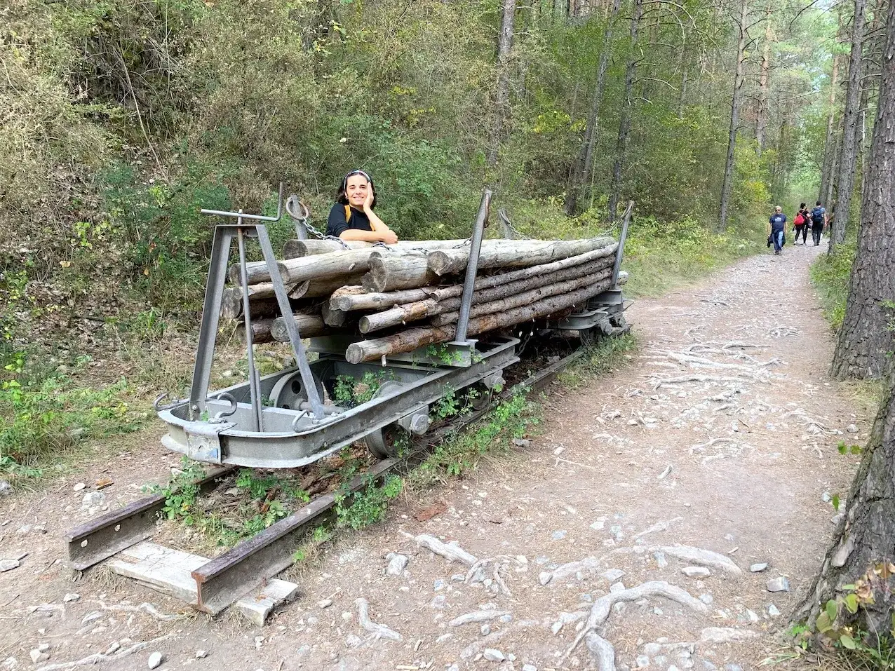 Mujer sonr&iacute;e junto a un vag&oacute;n de troncos en la v&iacute;a del Nicolau. Senderistas caminan por el bosque.