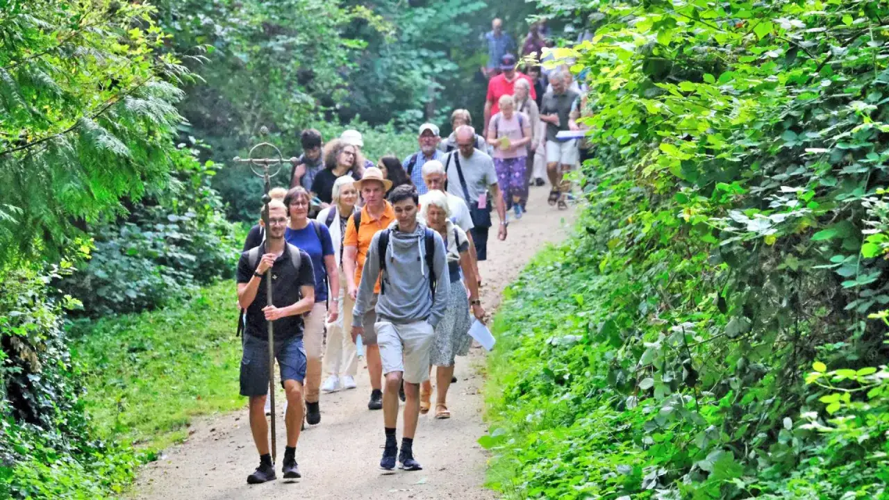 Eine Gruppe Menschen wandert auf einem Waldweg. Das Pilgern hat eine tiefe Bedeutung f&uuml;r viele, eine Reise zu sich selbst.