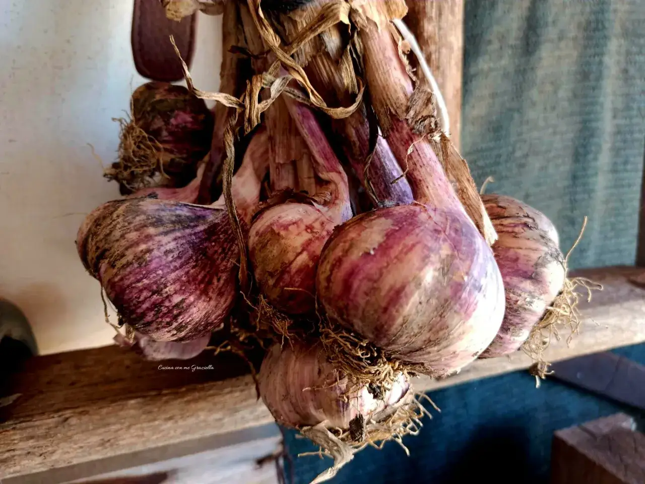 Un grappolo di aglio viola, con le sue radici secche e le foglie intrecciate, pronto per essere usato in cucina. Le sue proprietà benefiche sono note da secoli.
