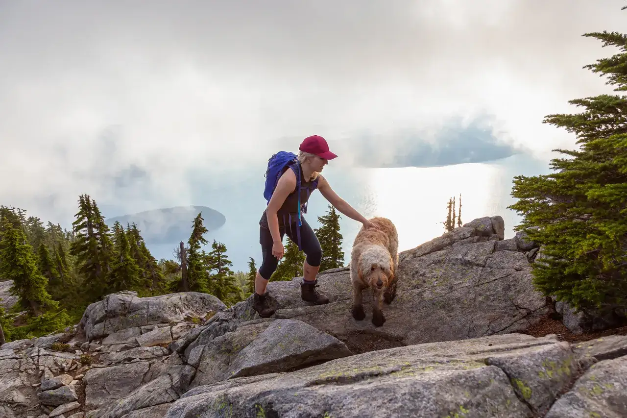 Kobieta z psem podczas dog trekking na skalistym szczycie, z widokiem na jezioro i g&oacute;ry w oddali.