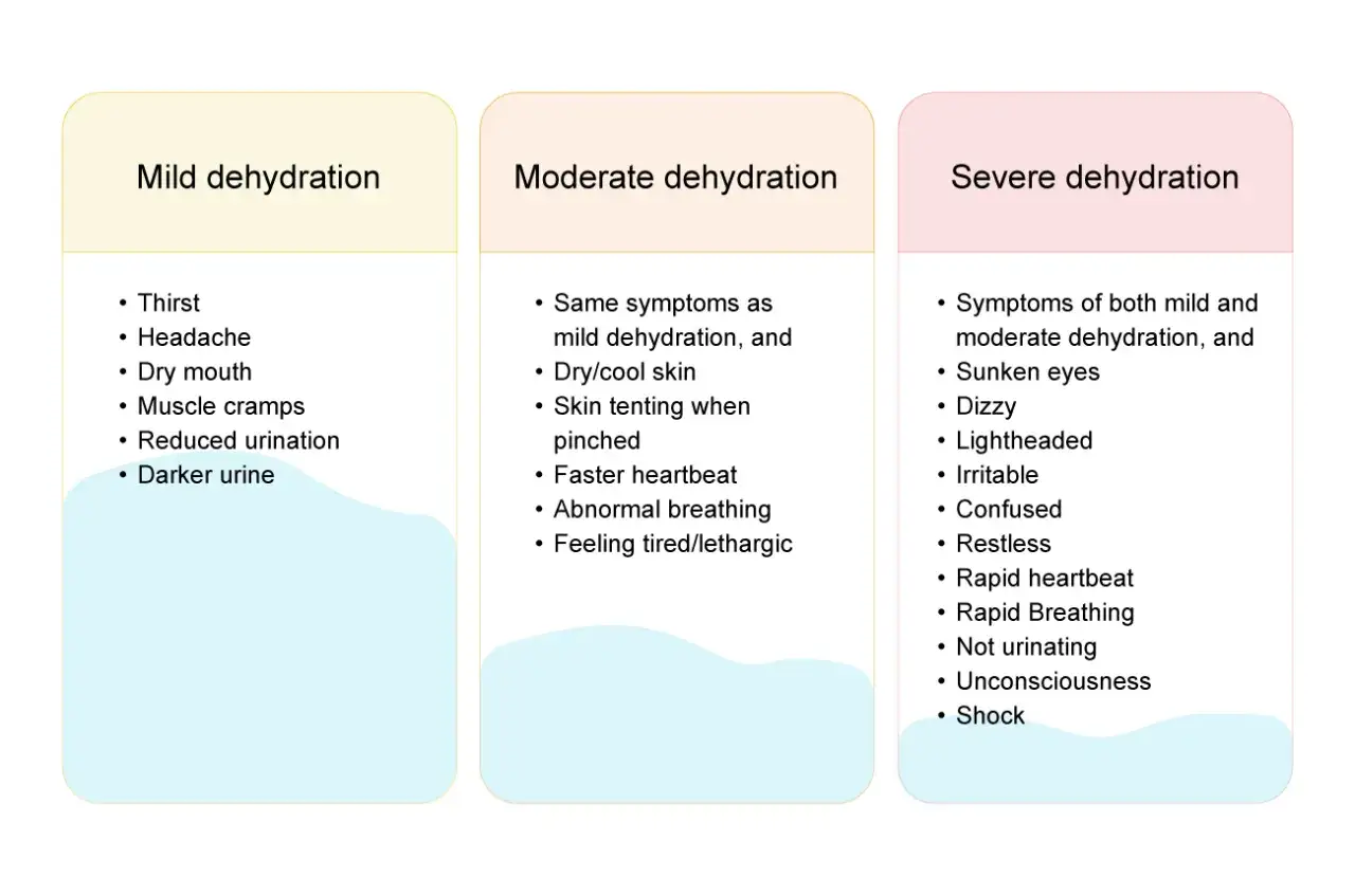 Síntomas de deshidratación en niños por gastroenteritis: leve, moderada y severa. Identifica sed, boca seca, orina oscura, ojos hundidos y más.