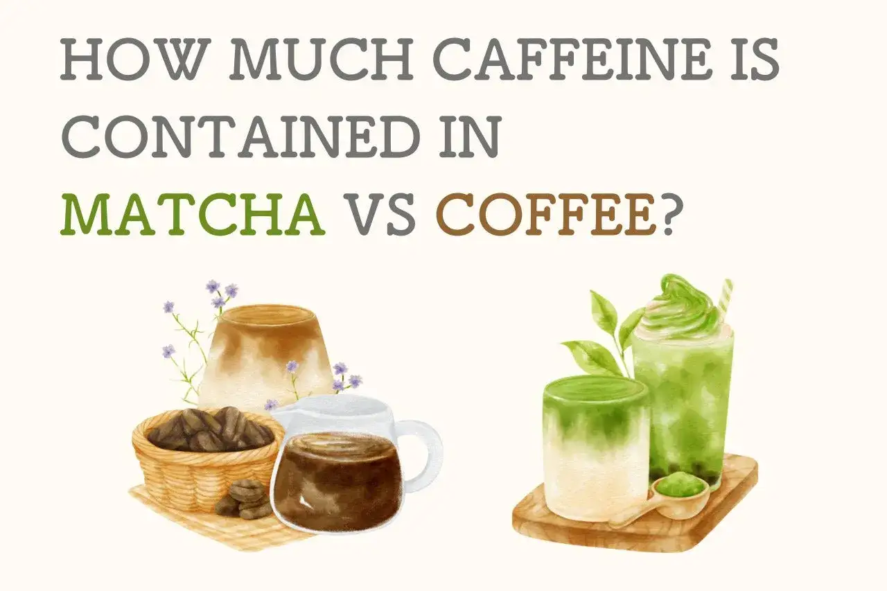 Vergleich von Matcha vs Kaffee: Illustration zeigt Kaffeebohnen und Kaffee auf der einen Seite, Matcha-Getränke auf der anderen.
