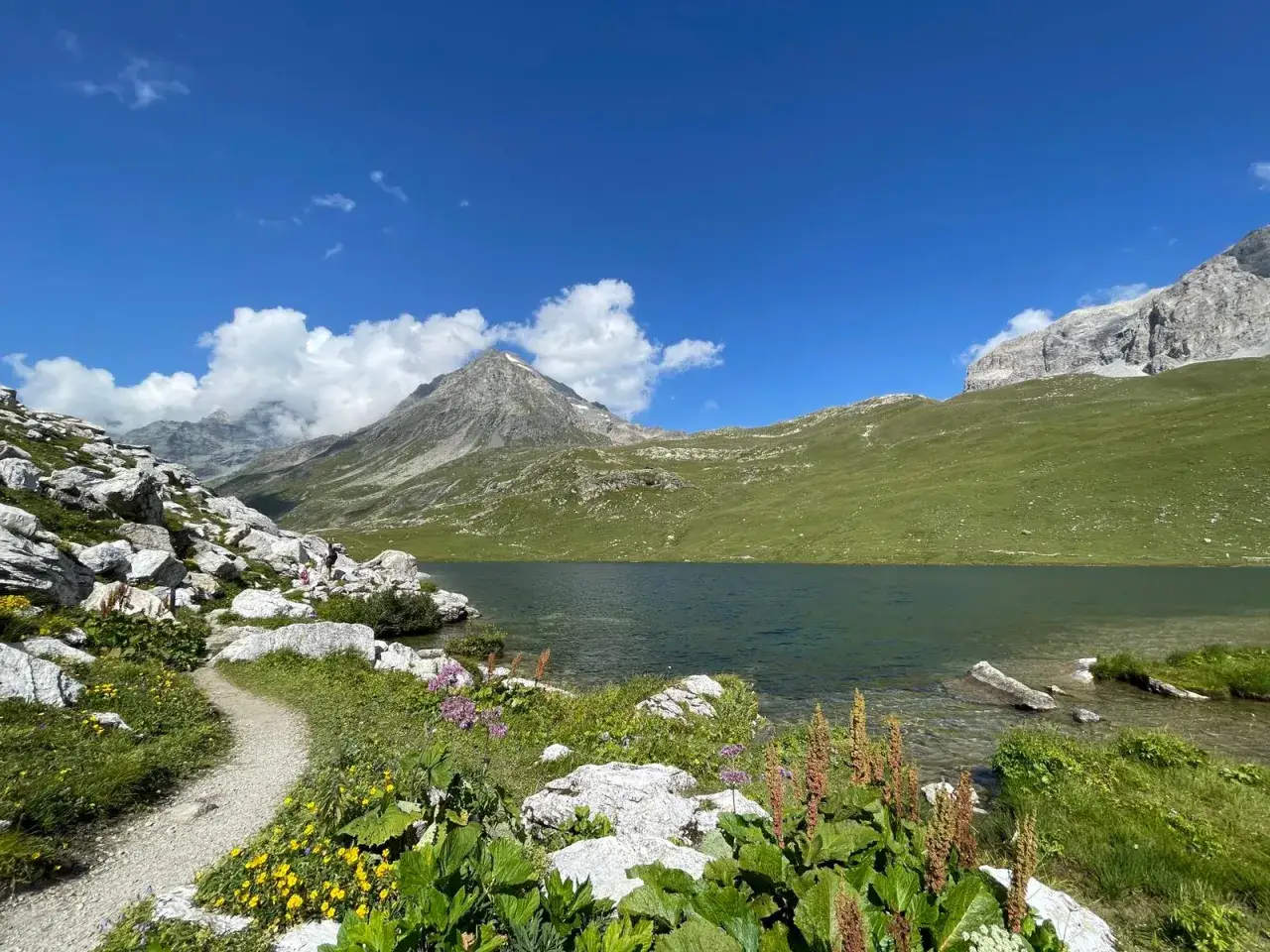Sentier rocailleux menant au lac de la Plagne, entouré de montagnes verdoyantes et de fleurs sauvages sous un ciel bleu éclatant.