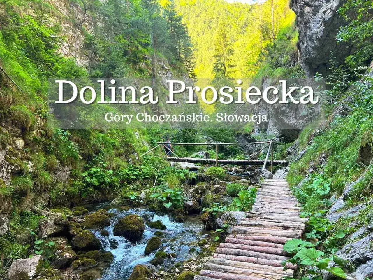 Malownicza ścieżka z drewnianych bali prowadzi przez Dolinę Prosiecką w Górach Choczańskich na Słowacji. Woda szumi w kamienistym korycie.