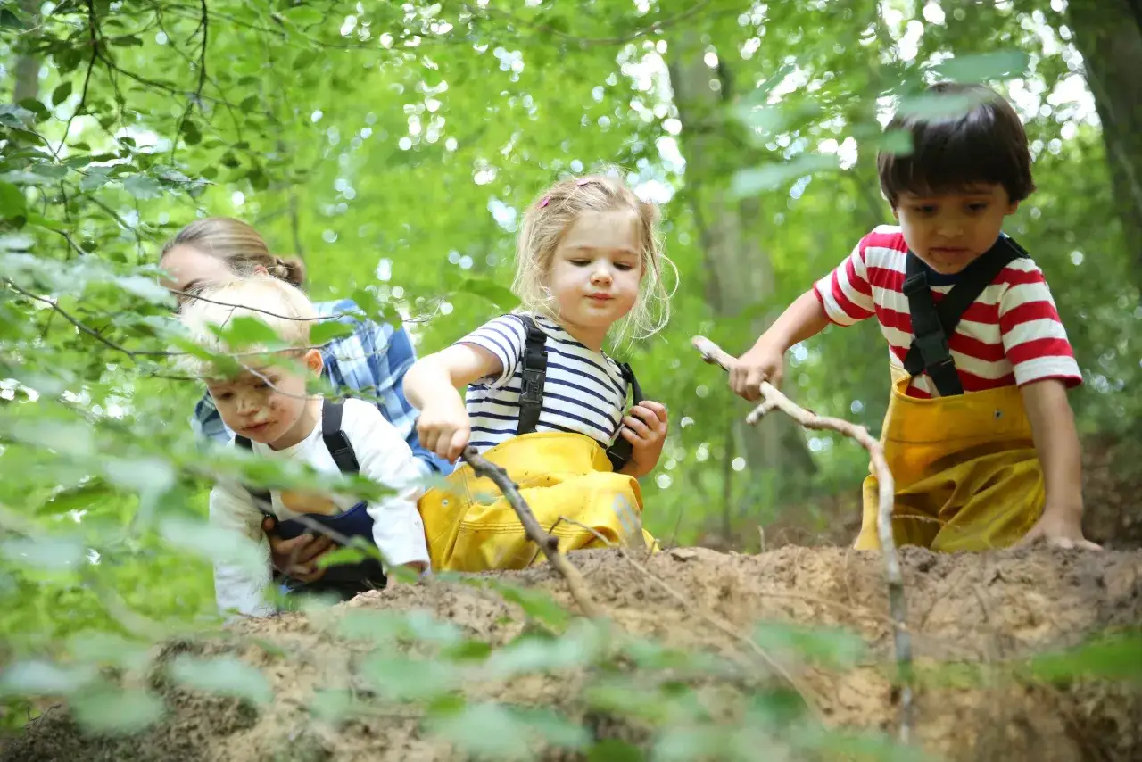 Kinder erkunden im Wald, vertieft in ihre Projekte im Kindergarten. Mit gelben Latzhosen und Stöcken entdecken sie die Natur.