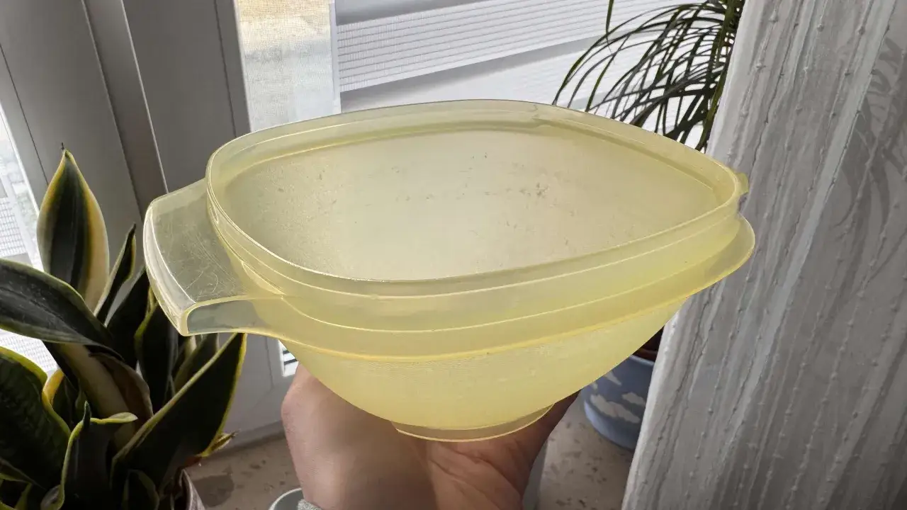 Eine Hand hält eine Schüssel mit Deckel aus vergilbtem Plastik. Daneben eine Pflanze.