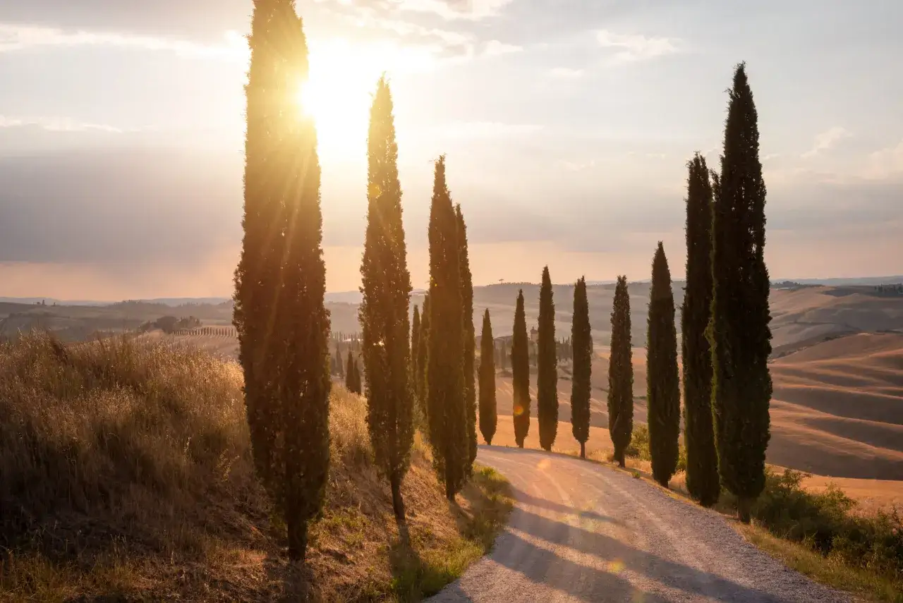 Strada sterrata tra cipressi in Toscana al tramonto, un paesaggio da cartolina, perfetto per scoprire posti romantici in Toscana.