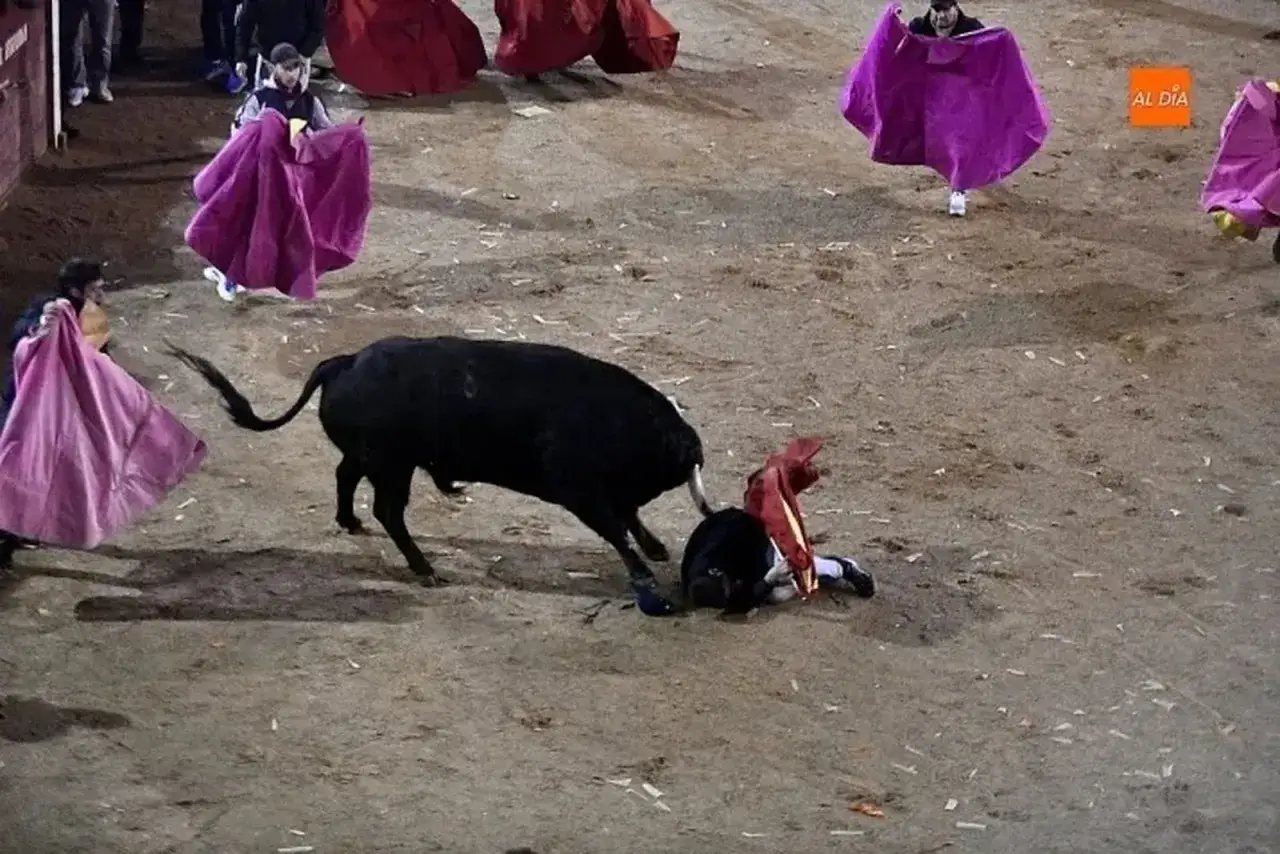Un toro embiste a un torero ca&iacute;do en la arena. El peligro de la muerte torero es palpable.