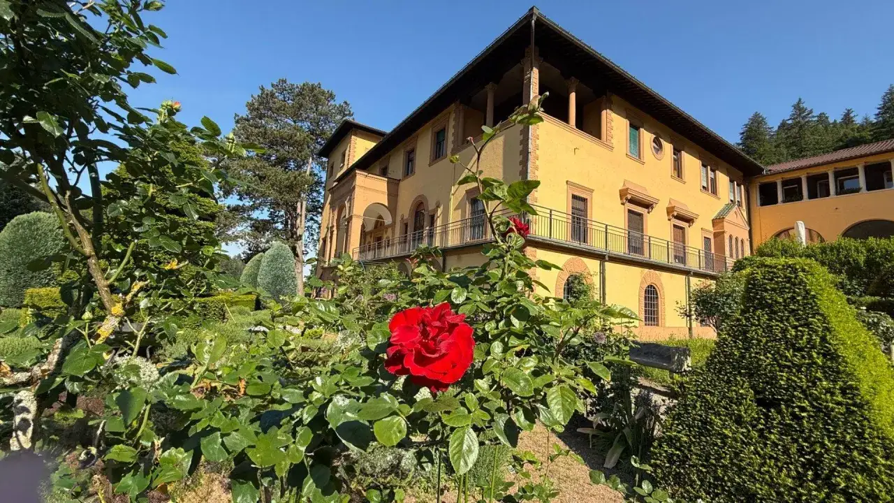 Ein roter Rosenbusch blüht vor einem gelben Gebäude, das wie ein Kloster wirkt. Ein schöner Ort, um ins Kloster zu gehen.