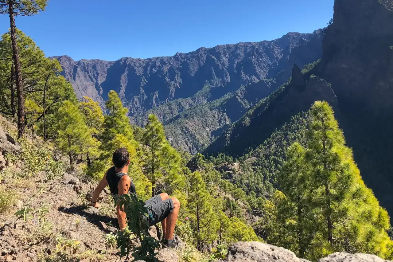 Hombre sentado en la ladera, contemplando las impresionantes rutas de La Palma. El paisaje monta&ntilde;oso y los pinos crean una vista espectacular.