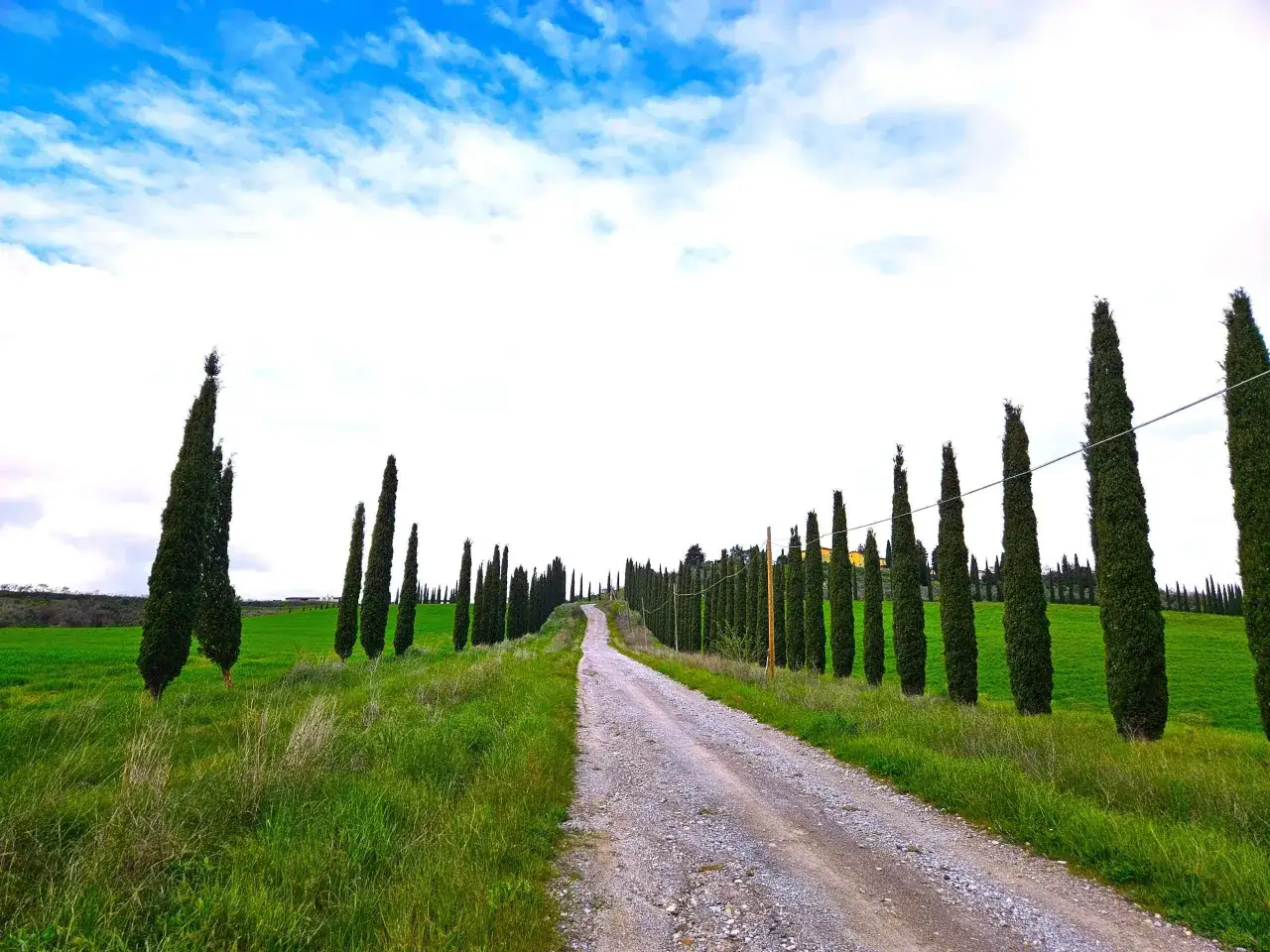 Strada sterrata fiancheggiata da cipressi in Toscana, un paesaggio che suscita curiosità sulla Toscana e invita all'esplorazione.