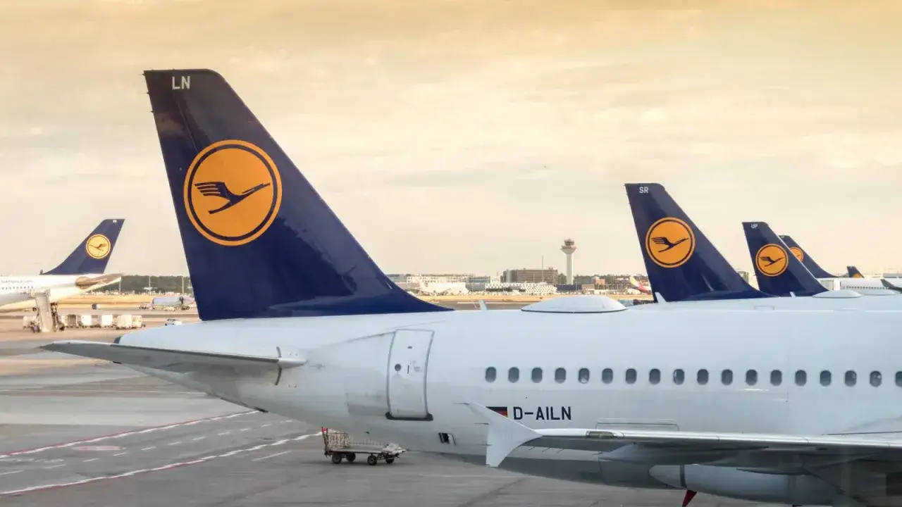 Samoloty niemieckich linii lotniczych Lufthansa stojące na płycie lotniska.