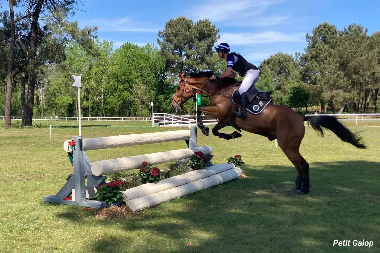 Cavalier et cheval en plein saut d'obstacle, moment intense des sports équestres.