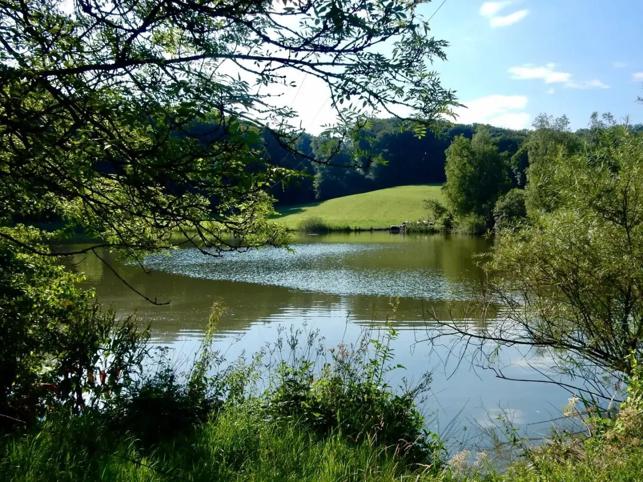 Idyllische Landschaft rund um Heiligenhaus: Ein ruhiger See spiegelt den blauen Himmel und grüne Hügel wider, umrahmt von üppigem Grün.