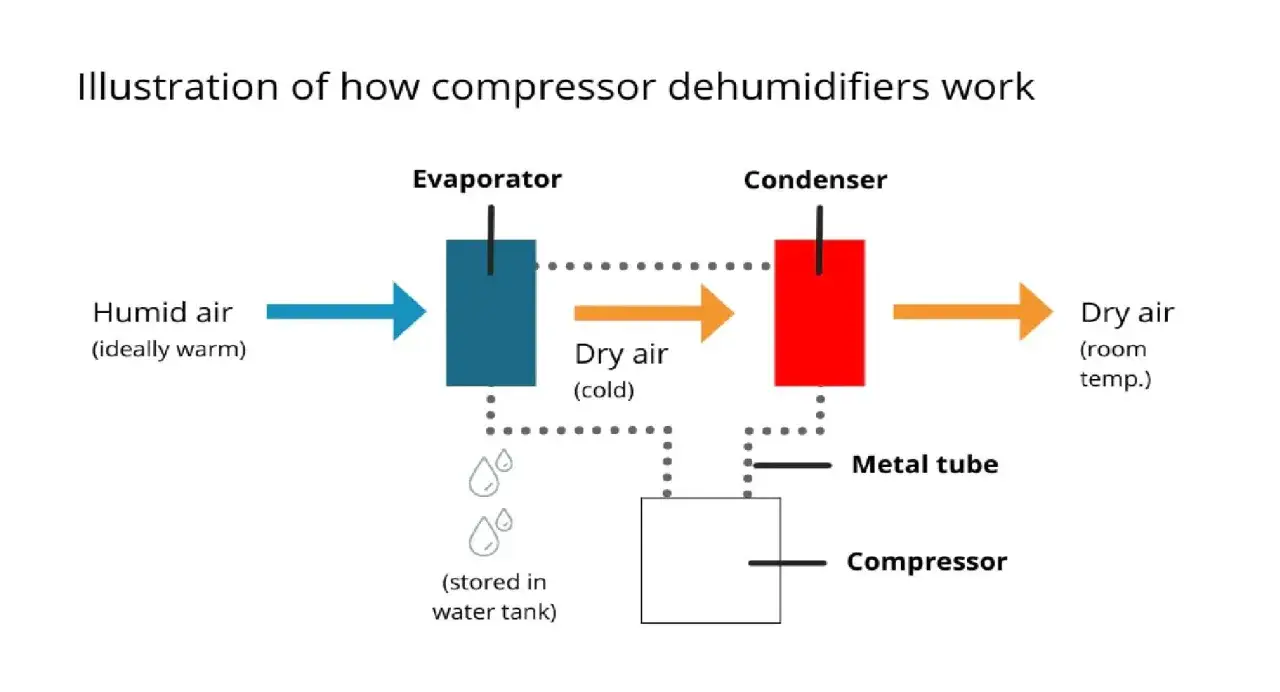Diagrama muestra cómo un deshumidificador calienta el ambiente. El aire húmedo entra al evaporador, se seca y sale a temperatura ambiente.