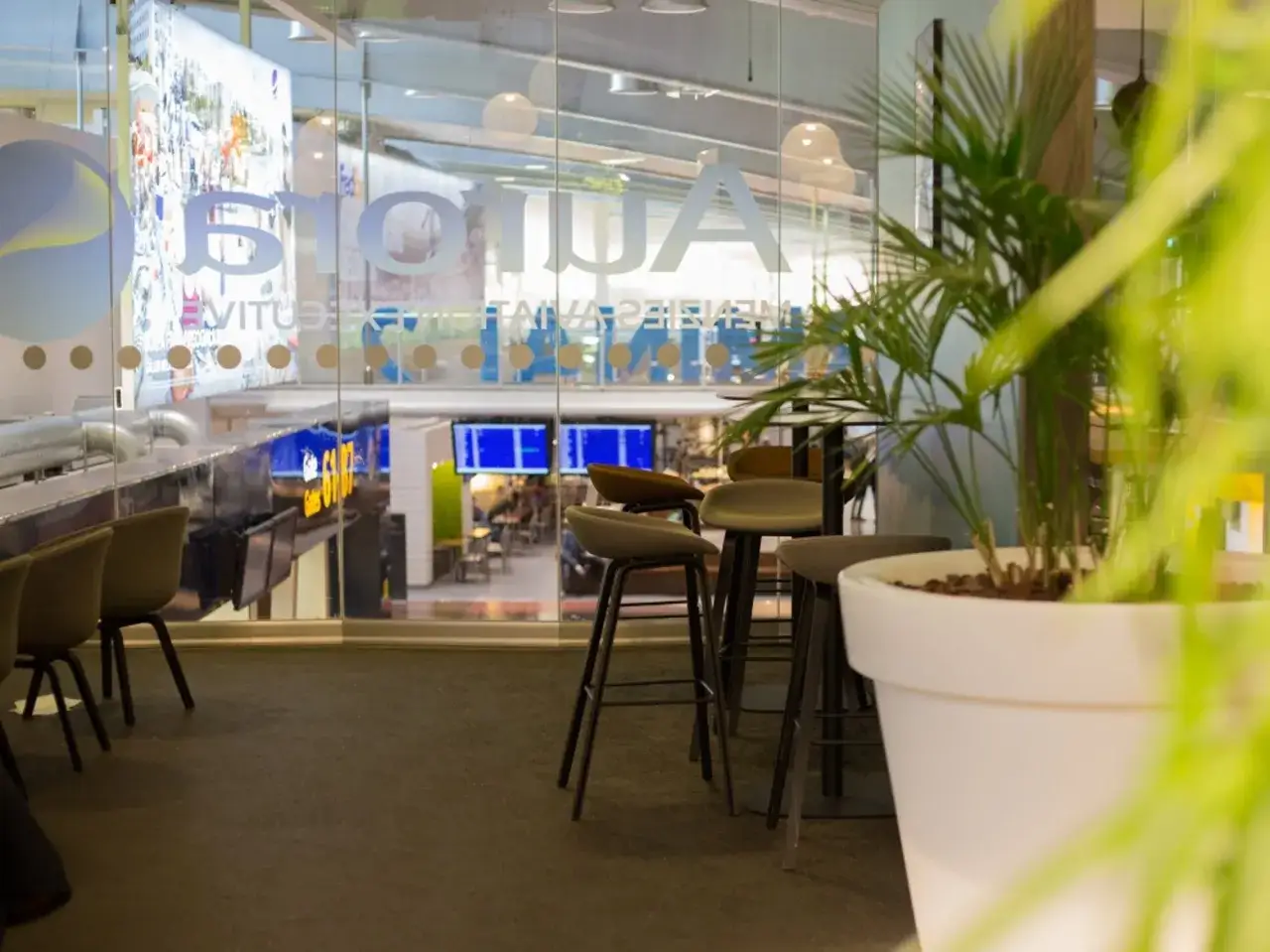 Sittplatser och en stor krukv&auml;xt i pearl lounge arlanda. Genom glasv&auml;ggen syns flygplatsens folkliv.