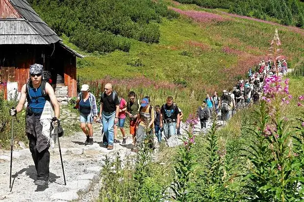 Turyści na szlaku w Górach Sowich