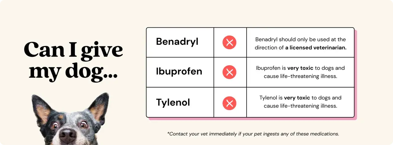 Attention ! L'ibuprofène est très toxique pour les chiens et peut causer une maladie mortelle. Ne jamais donner d'ibuprofène à votre chien.
