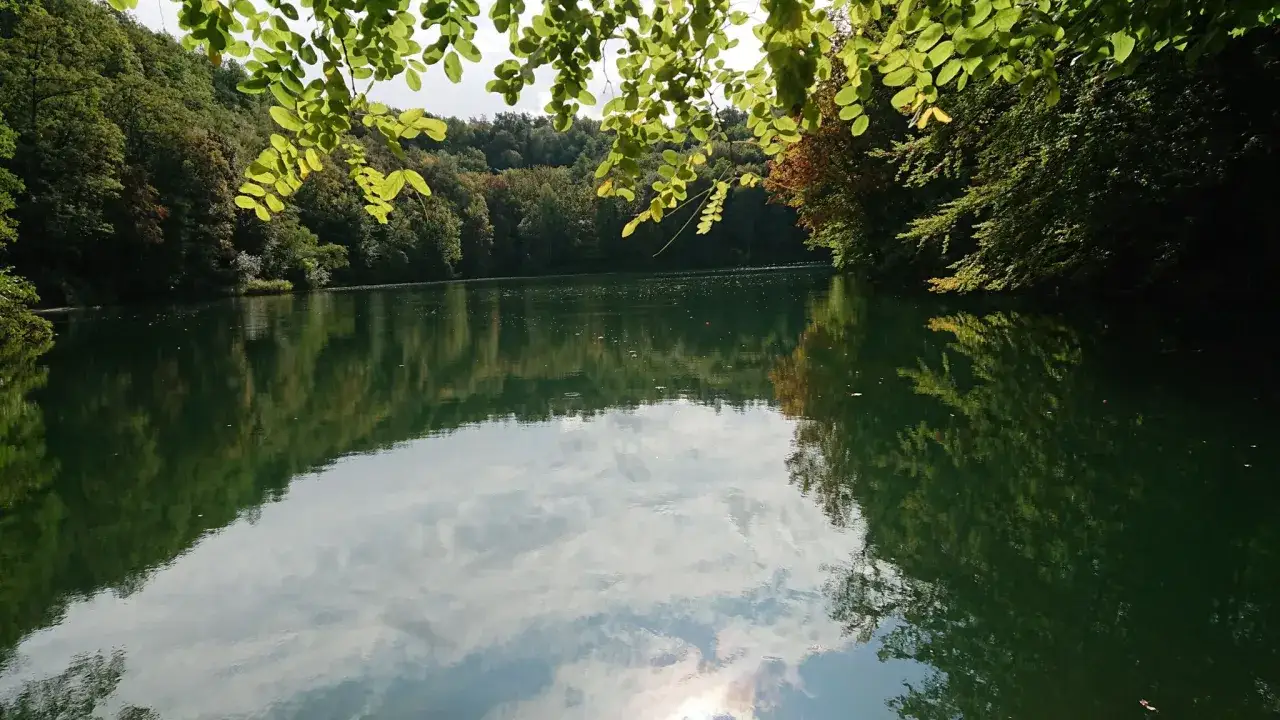Spokojne jezioro odbija zieleń drzew. Idealne miejsce na przejażdżkę rowerem po **ścieżkach rowerowych Szczecin**.