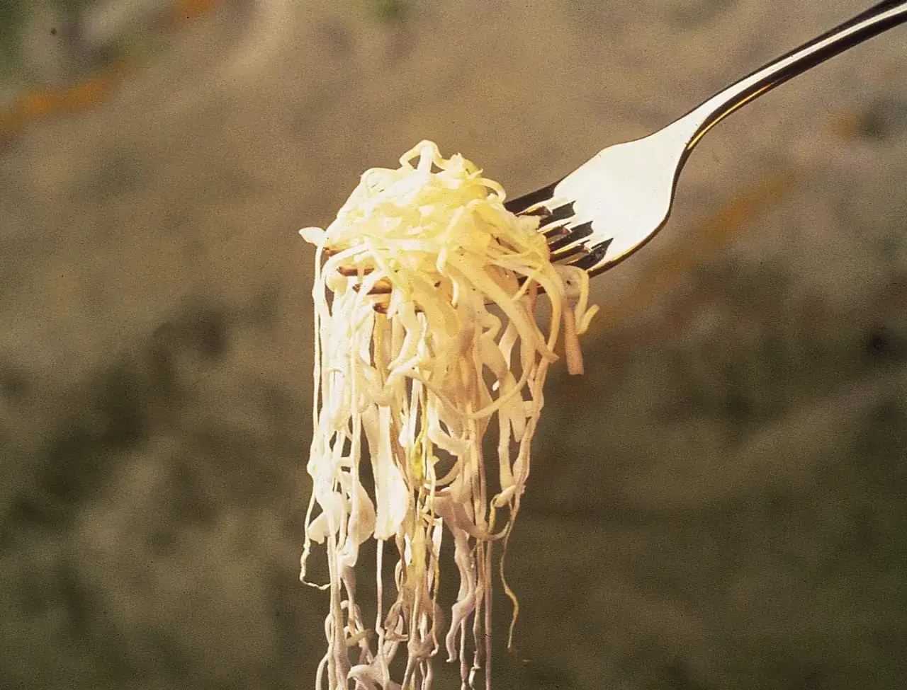 Un tenedor levanta una porci&oacute;n de chucrut, evocando su origen ancestral en la fermentaci&oacute;n de la col.