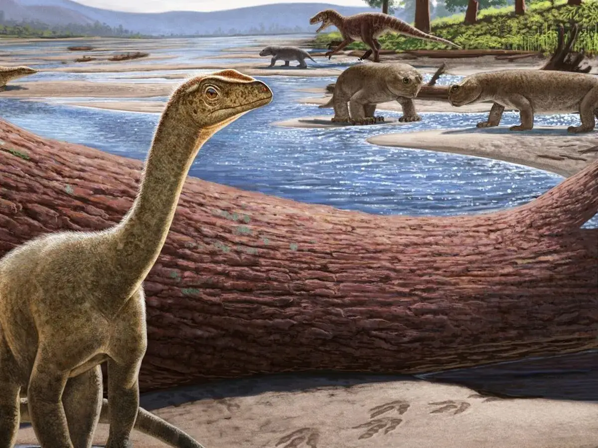 Un pequeño dinosaurio de cuello largo observa un río prehistórico. En la orilla, otros dinosaurios y criaturas terrestres caminan. Es como soñar con dinosaurios.