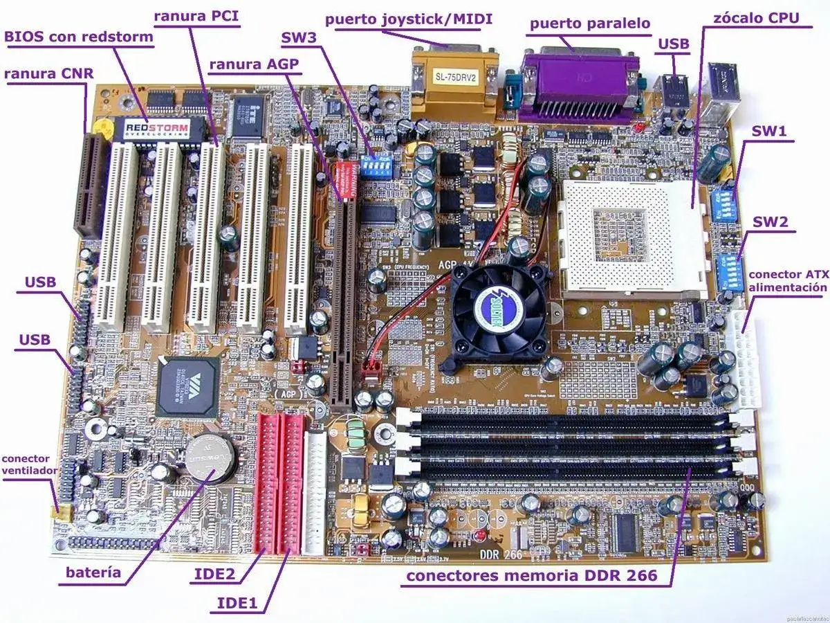 Placa base con ranuras PCI, AGP, z&oacute;calo CPU, conectores USB, IDE, memoria DDR 266 y otros componentes. Aqu&iacute; se muestra qu&eacute; es una tarjeta gr&aacute;fica y sus conexiones.