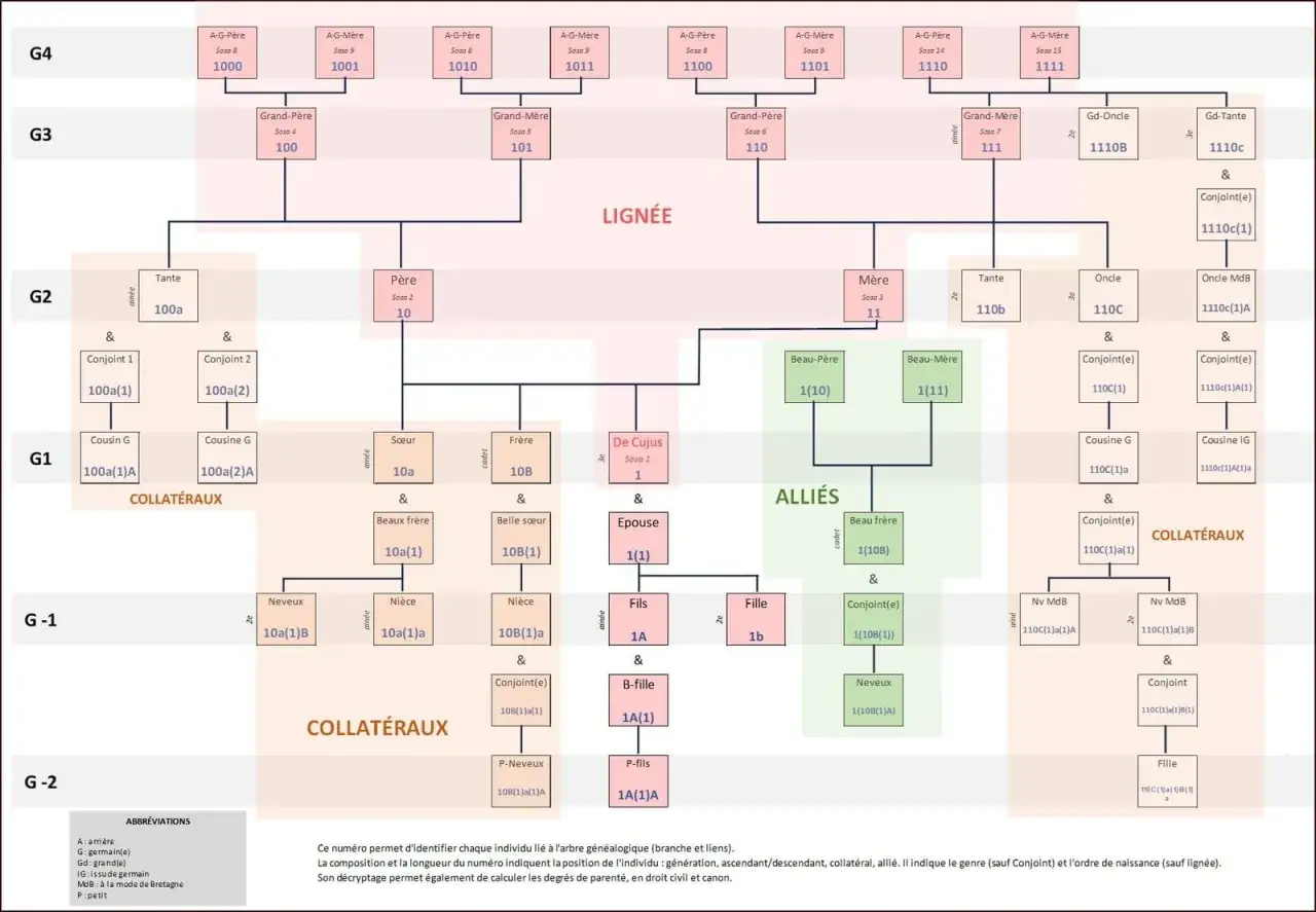 Arbre généalogique complexe montrant la lignée, les alliés et les collatéraux d'une famille. Chaque personne est identifiée par un numéro unique.
