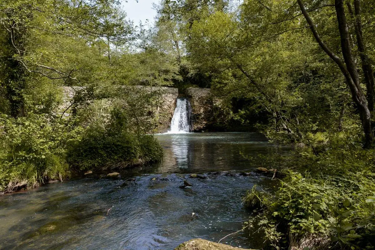 Cascata della mola di Oriolo, un angolo di paradiso tra alberi rigogliosi e acque cristalline.