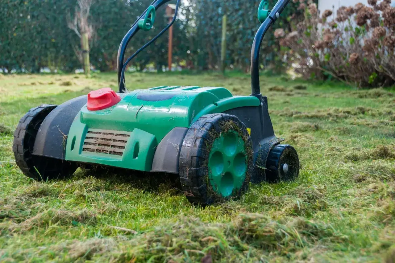 Zielona glebogryzarka z aeratorem pracuje na trawniku, usuwając starą trawę i mech.