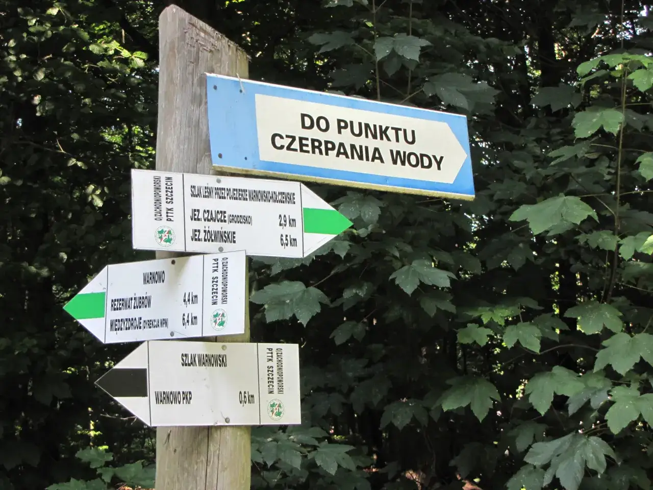 Rozdroże leśne z tablicami kierunkowymi. Wskazują szlak pieszy zielony do punktu czerpania wody, rezerwatu żubr&oacute;w i jezior.