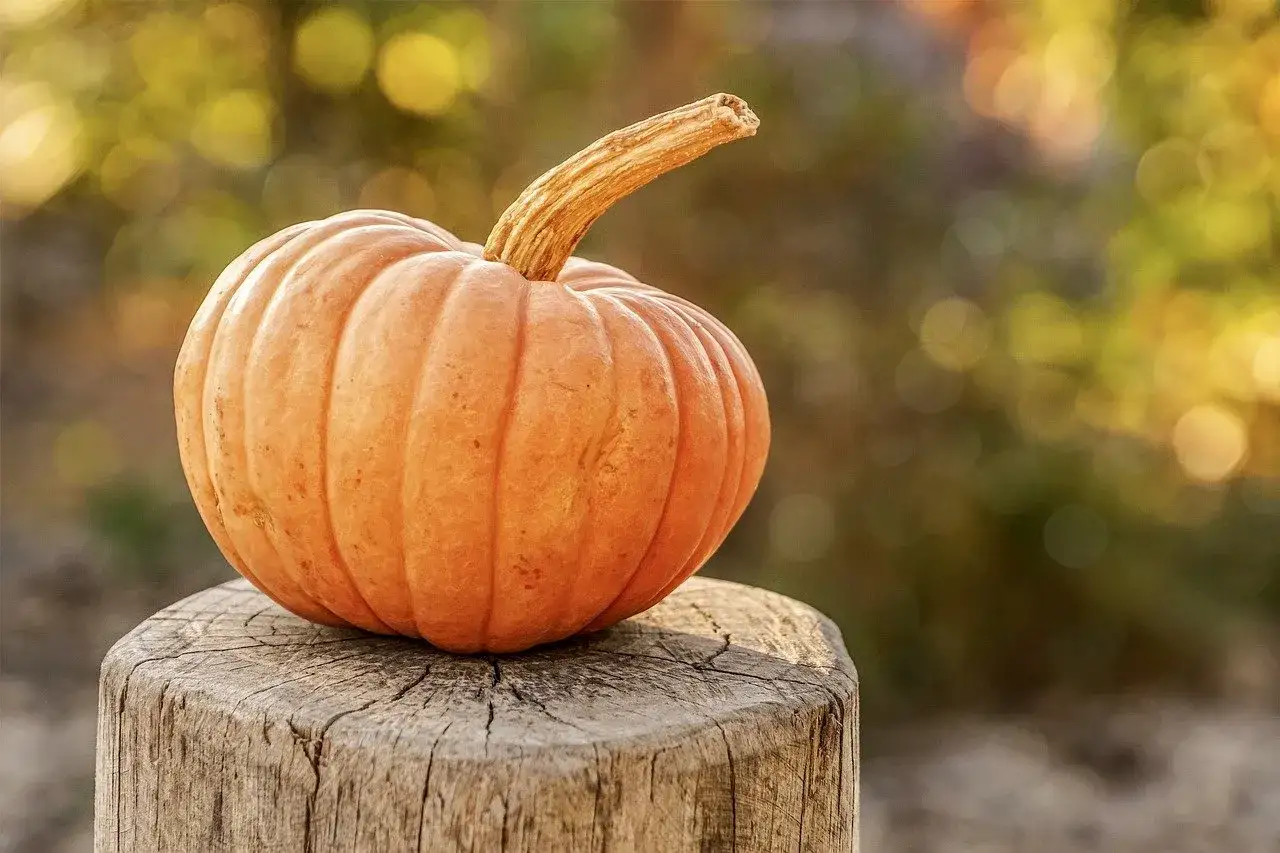 Una zucca arancione, perfetta per quando si raccolgono le zucche, riposa su un ceppo di legno con uno sfondo sfocato di foglie autunnali.