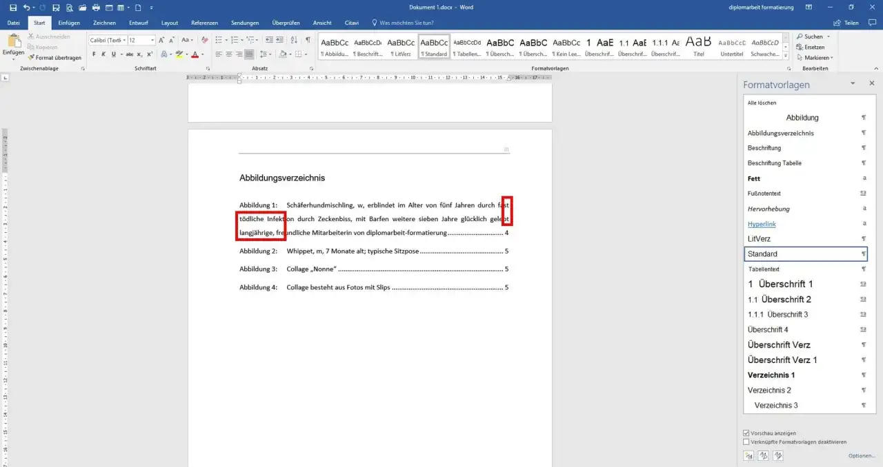 Das Bild zeigt ein Abbildungsverzeichnis in Word, das mit dem Schlüsselwort 