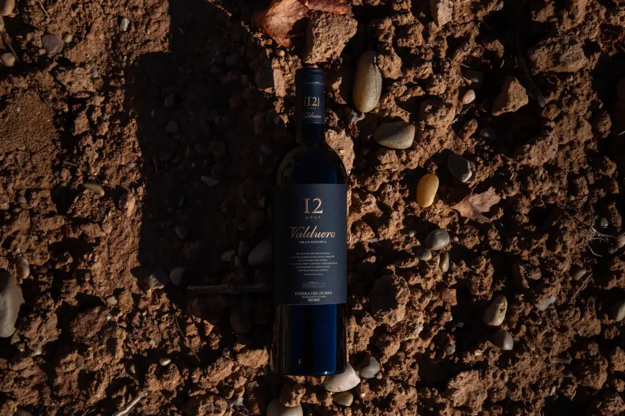 Botella de vino Valduero Gran Reserva 12 Años, un tesoro entre tierra y piedras, evocando la calidad de los vinos caros.