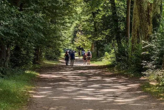 ludzie spacerujący w parku