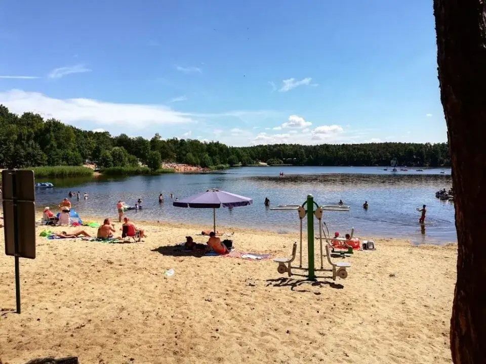 Plaża Szczedrzyk Jezioro Turawskie las sosnowy