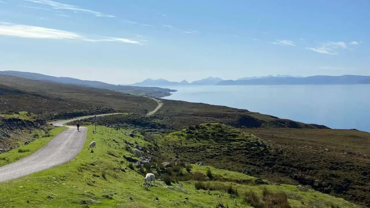 Ciclista solitario en la ruta 500 Escocia, rodeado de ovejas y un paisaje costero espectacular.