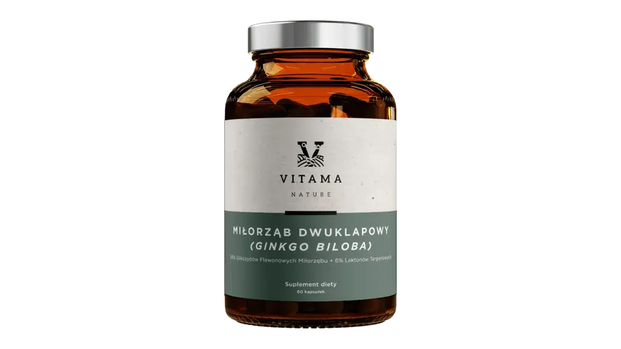 etykieta Ginkgo Biloba standaryzacja