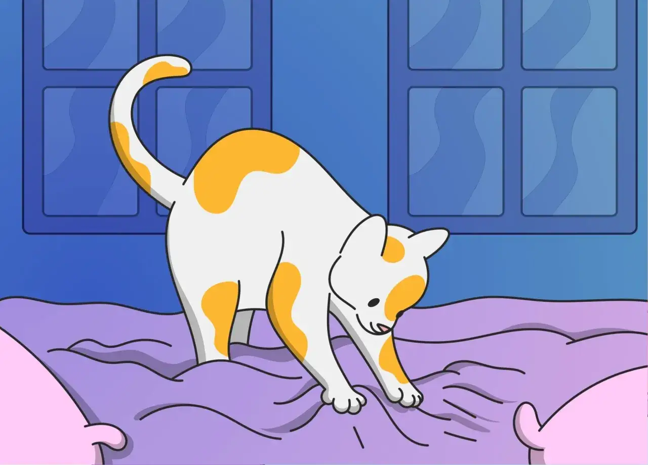 A cat kneads a soft blanket, a behavior linked to why cats knead and purr, evoking comfort and contentment.