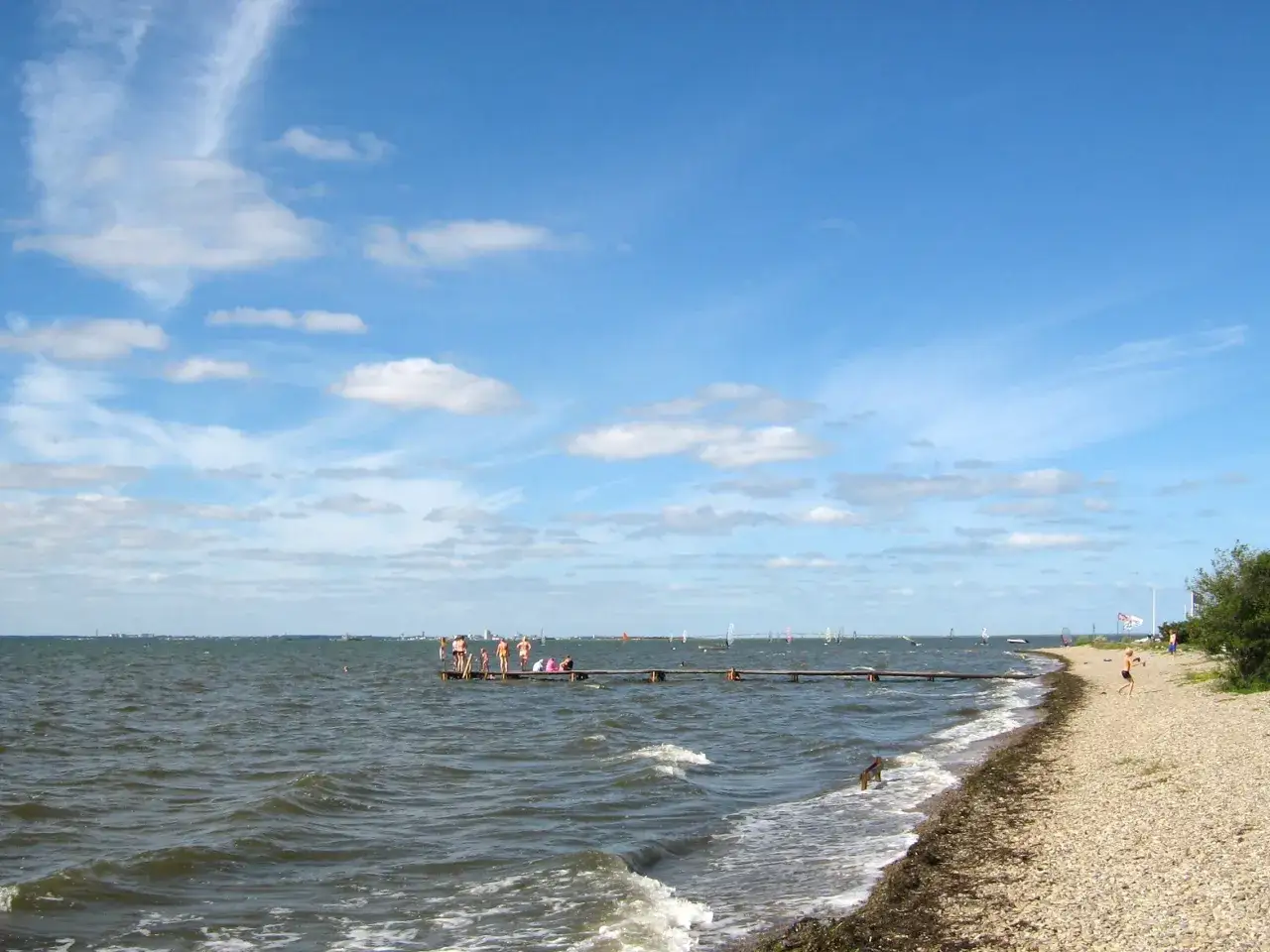 Solig dag vid haga park camping. Folk njuter på bryggan, vindsurfare på vattnet.