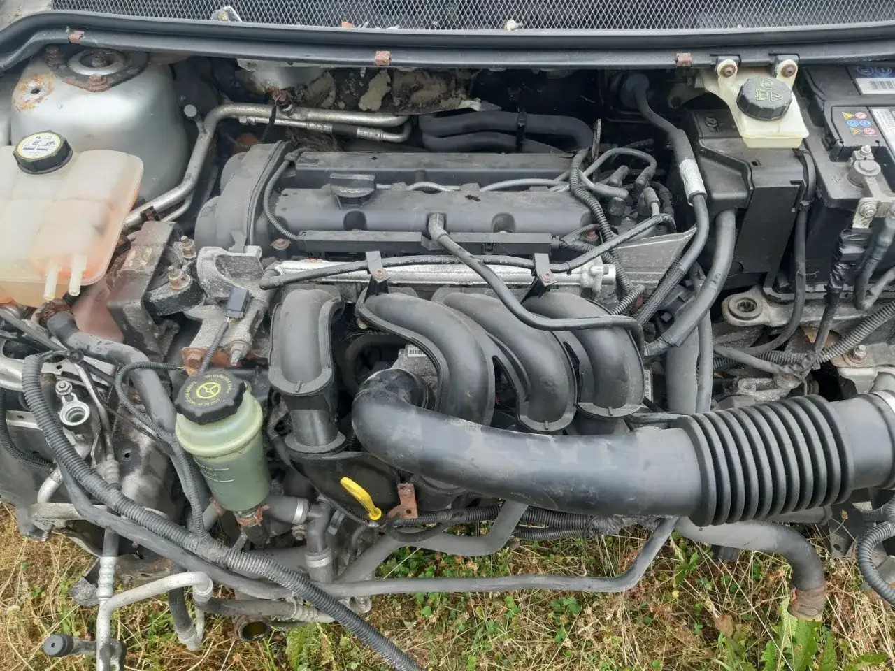 Silnik Ford Focus MK2 1.6 benzyna, widok z góry. Widać kolektor dolotowy, przewody i zbiorniczek płynu.