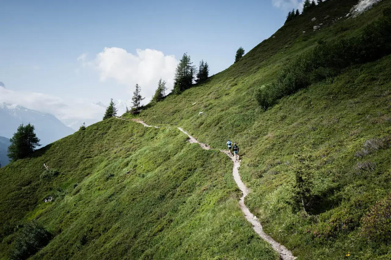 Zwei Wanderer genießen das bergauf laufen auf einem schmalen Pfad durch eine grüne Berglandschaft unter blauem Himmel.