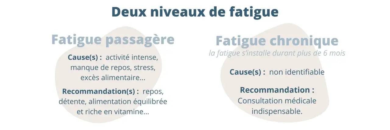 Deux niveaux de fatigue : passagère (causes : stress, manque de repos) et chronique (symptômes fatigue intense, cause non identifiable).