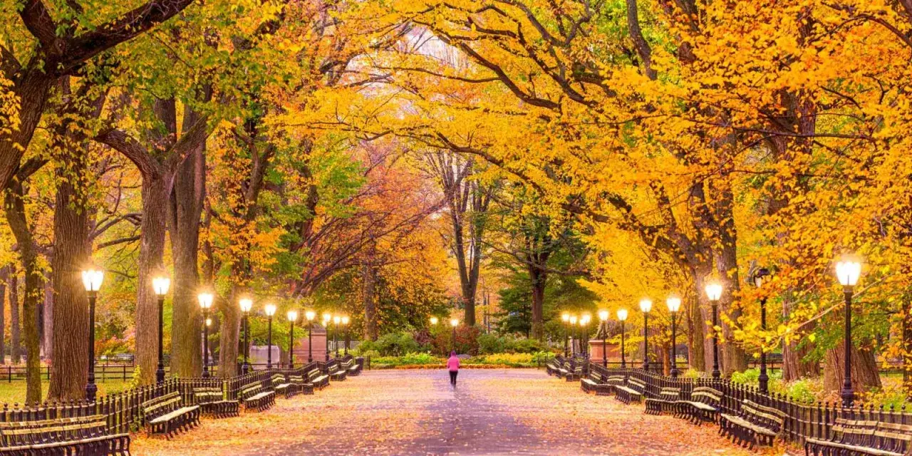 Herbstlicher Parkweg in New York mit leuchtendem Laub und Laternen. Die beste Reisezeit für New York, um diese Farbenpracht zu erleben.