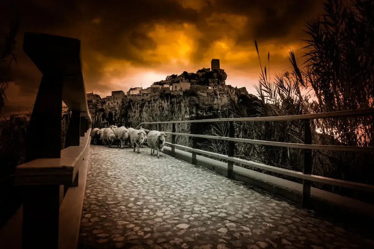 Un gregge di pecore attraversa un ponte lastricato verso una **posada di sera**, con un castello in lontananza sotto un cielo drammatico.
