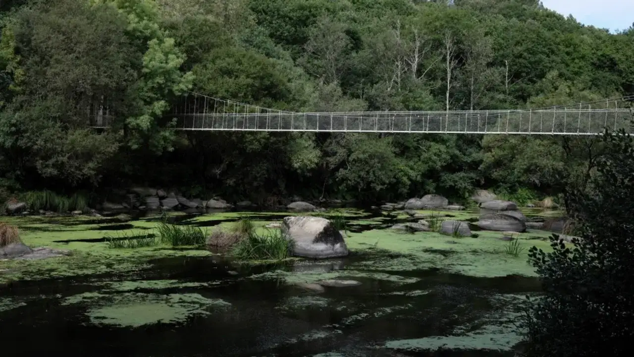 Puente colgante sobre un río cubierto de algas verdes. El **ponte de Outeiro** se alza entre la frondosa vegetación, invitando a cruzar.