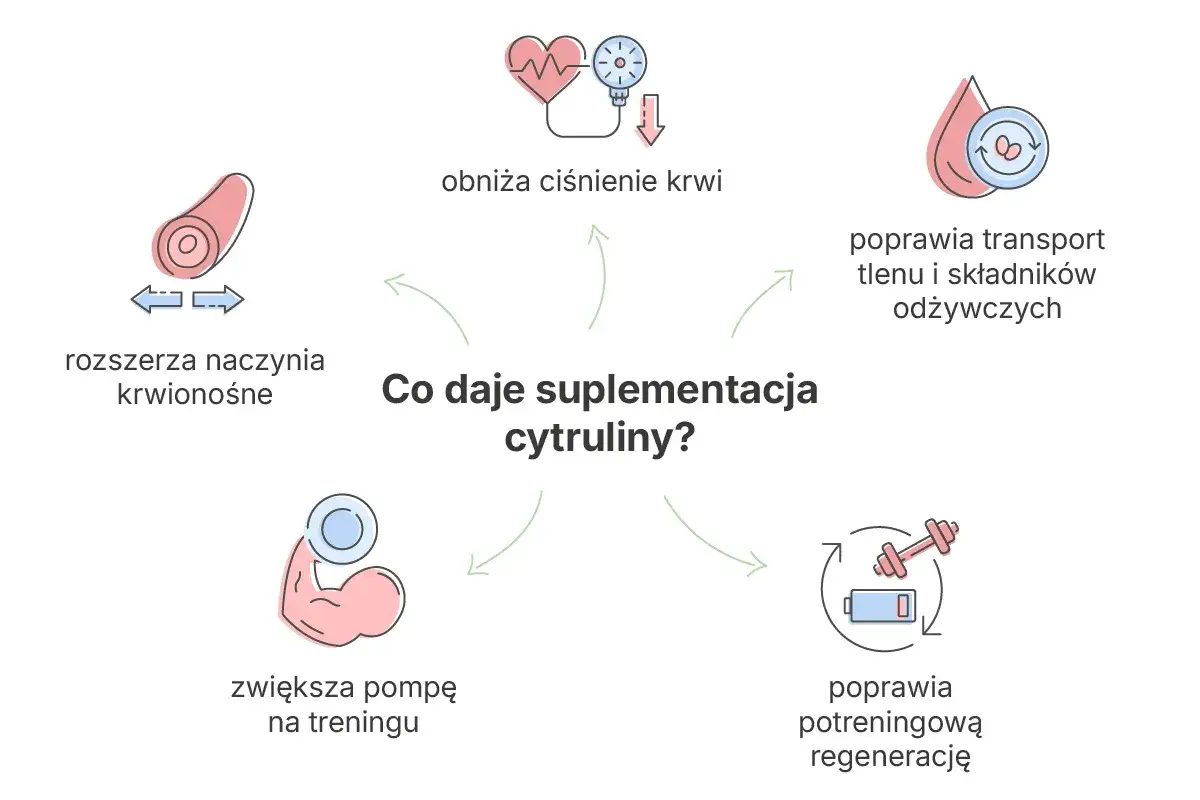 mechanizm działania cytruliny tlenek azotu