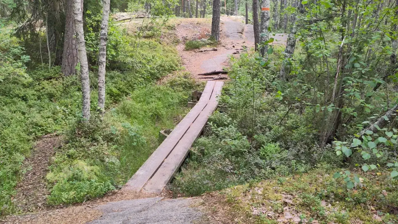 En tr&auml;bro leder &ouml;ver en liten b&auml;ck i en lummig skog. Stigen forts&auml;tter uppf&ouml;r en kulle, perfekt f&ouml;r the run Uppsala.