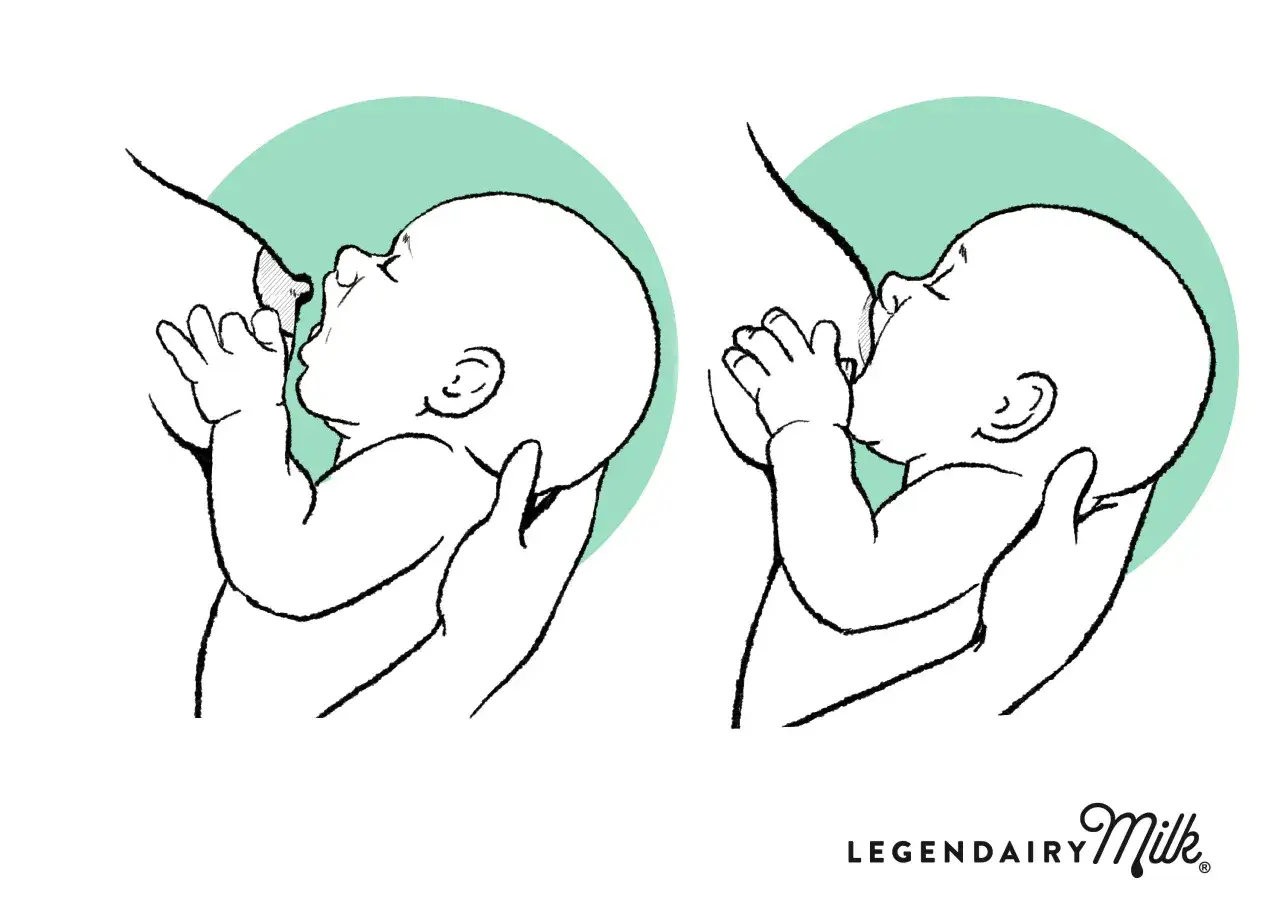 Zwei Illustrationen zeigen Babys, die gestillt werden. Der c griff stillen ist gut erkennbar.